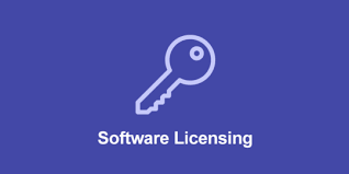 Software Licensing