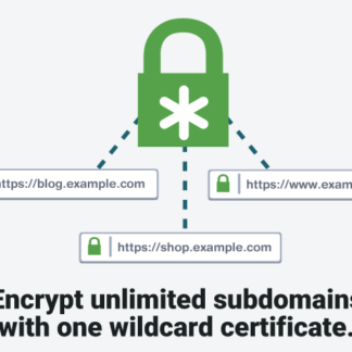 Wildcard SSL Certificate