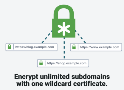 Wildcard SSL Certificate